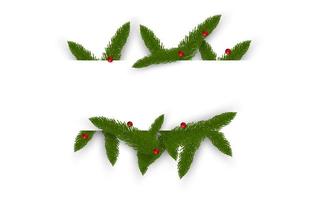 Christmas background with fir. Vector illustration