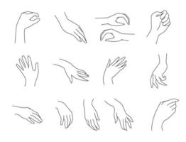 Simple outline vector Illustration of hands palms in different positions. Vector illustration one line hand position. Set of hand position.