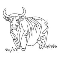 a standing bull continuous line vector