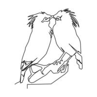 two male birds single continuous line vector