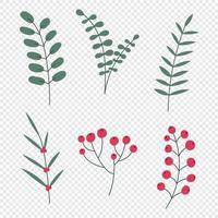 Hand drawn winter leaves and branches. Set of plants with flowers, spruce branches, leaves and berries. Vector illustration