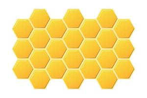 Abstract honeycombs design. Gold honey hexagonal cells texture. Geometric hive hexagonal honeycombs. Vector illustration