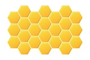 Abstract honeycombs design. Gold honey hexagonal cells texture. Geometric hive hexagonal honeycombs. Vector illustration