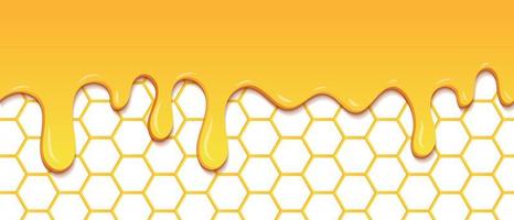 Yellow pattern with honeycomb and honey drips. Dripping honey seamless pattern. Gold honey hexagonal cells seamless texture. Vector illustration