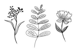 conjunto floral dibujado a mano. ilustración vectorial de flores y ramas con hojas con un bolígrafo negro y aislado en blanco. dibujo esquemático de plantas fantásticas inexistentes vector
