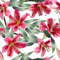 Seamless pattern of realistic pink lilies on green stems with leaves on a white background vector