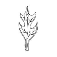 sketch of a fantastic spiky lonely leaf. Black outline drawing of a leaf isolated on white vector