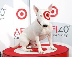 Bullseye The Target Dog Played by Nicky AFI s 40th Anniversary ArcLight Theaters Los Angeles, CA October 3, 2007 2007 photo