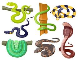 Snakes, wild tropical serpents, python and cobra vector