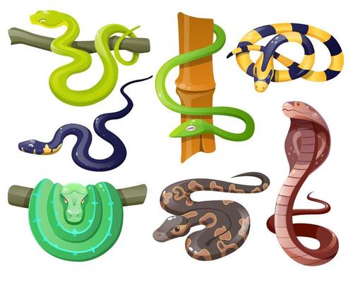 Python Vector Art, Icons, and Graphics for Free Download