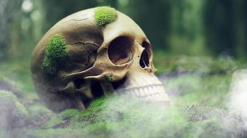 Human skull covered with moss and mystique fog loop video