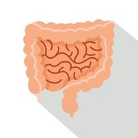 icono de intestinos, tipo plano vector