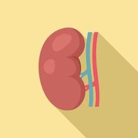 Kidney icon, flat style vector