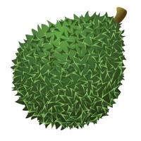 Organic durian icon, cartoon style vector