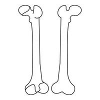 Bone icon, outline style vector