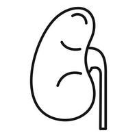 Anatomical kidney icon, outline style vector