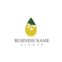 Extra virgin olive oil logo design vector