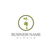 Extra virgin olive oil logo design vector