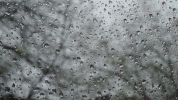 Blick aus dem Fenster, auf dem Regentropfen sind. der Fokus der Kamera wandert von der Glasoberfläche zu den Bäumen draußen und dem schlechten Regenwetter. video