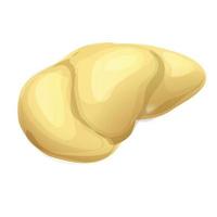 Part durian icon, cartoon style vector