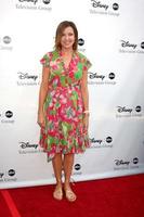 Christa Miller arriving at the ABC TV TCA Party at The Langham Huntington Hotel and Spa in Pasadena, CA on August 8, 2009 photo