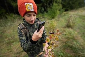 Boy making a photo of caterpillar on a leaf. Study of flora and fauna.
