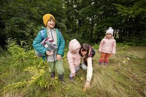 Mother and children searching mushrooms in the wild forest. photo
