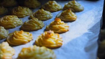 The chef makes potato cookies using a food bag. Potato cookies canonic recipe Brie, parmesan and Heavy cream. Macro shooting video