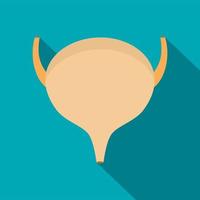 Bladder icon, flat style vector