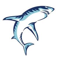 Blue shark vector illustration, perfect for IT Business and Protect Service logo design