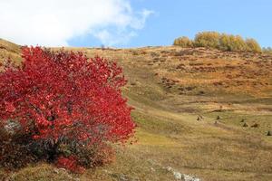 paisaje rural en montañas con campos, árboles y pajar en otoño. montañas del cáucaso, georgia. foto