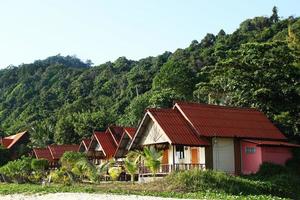 View on the wooden houses near to the sea between palm trees on a background of rainforest. Koh Chang, Thailand. photo