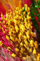 Branches of painted yellow, pink and green colors willow on a flower market. Hue, Vietnam. photo