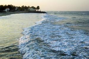 The view on the sea waves with beach houses and palm trees on a background. photo