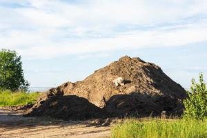 a large pile of land on the shore of the bay, ecology, soil, gentrification of the territory photo