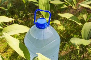 una botella grande de agua potable fresca y limpia se encuentra en el bosque junto a los brotes de flores de lirio de los valles foto