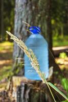 una botella grande de agua potable fresca y limpia está parada en un tocón en el bosque foto