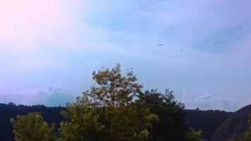 Paraglider soaring against the backdrop of a sunny blue sky. Bottom view video