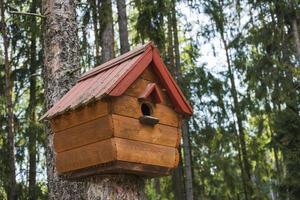 una casita para pájaros en un árbol, una casa para ardillas, una casita para pájaros de madera hecha de pequeños troncos. hecho a mano. Salva los animales foto