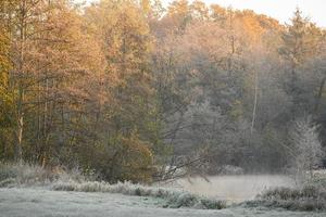 autumn at a castle in westphalia photo