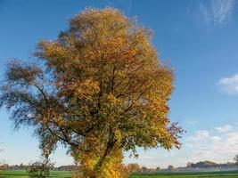 tiempo de otoño en un río en Alemania foto