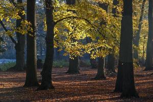 autumn at a castle in westphalia photo