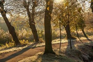 autumn at a castle in westphalia photo