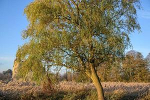 autumn at a castle in westphalia photo