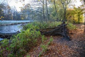 autumn at a castle in westphalia photo