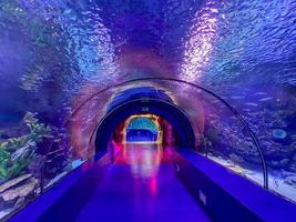 Large beautiful round glass tunnel under water in the aquarium with different fish. Concept tourism, sea world, diving photo