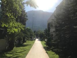 Beautiful landscape with pathway in the mountains forest at sunset. Hiking path in breathtaking panoramic view, inspirational summer landscape in forest. Walking footpath or biking path, dirt road photo