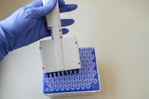 Female technician in laboratory of genetics - reprogenetics. Young technician use dispenser for pipetting PCR strips photo
