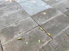 The space is paved with large long concrete slabs. Diminishing perspective. Selective focusing photo