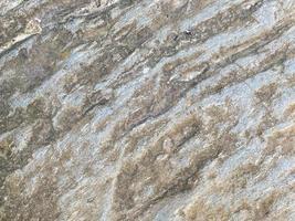 Surface texture of natural building solid gray strong concrete, rough cement with small pebbles. The background photo